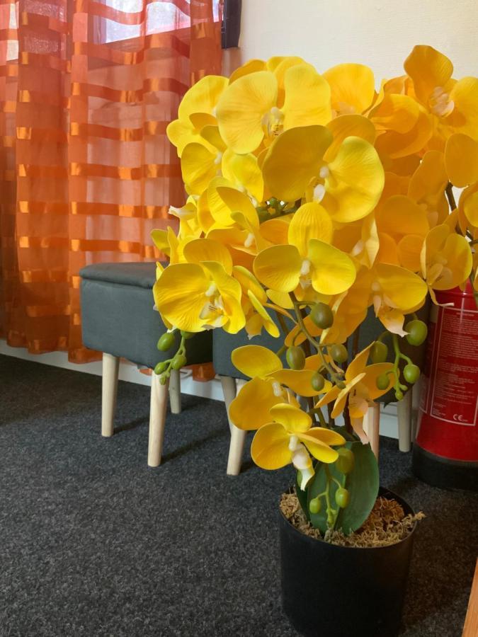 Skogsvikens Hotell Kolmården Exteriér fotografie